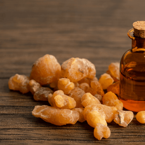 Loban (Frankincense)